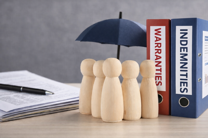 Warranties and indemnities